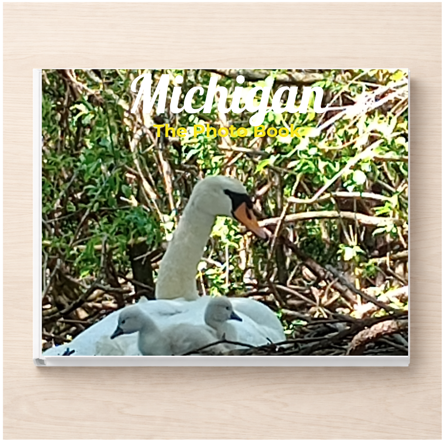 Michigan: The Photo Book