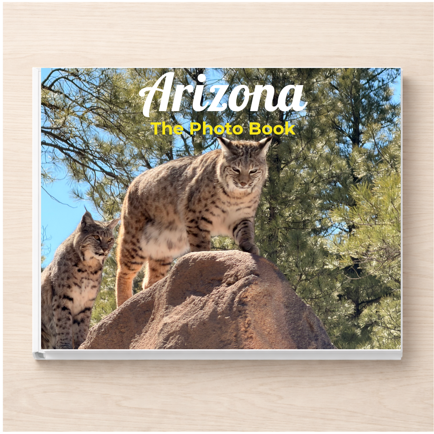 Arizona: The Photo Book