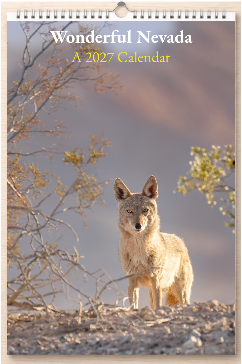 Wonderful Nevada: A 2027 Calendar