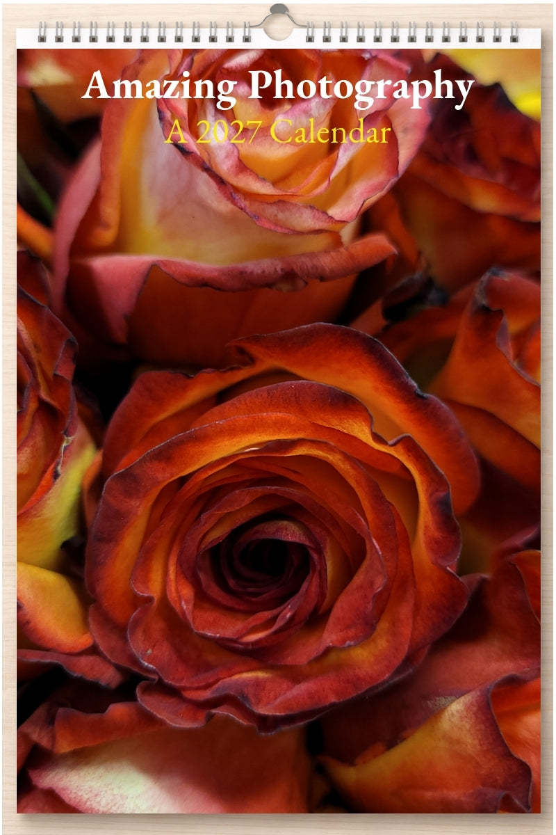 Amazing Photography: A 2027 Calendar