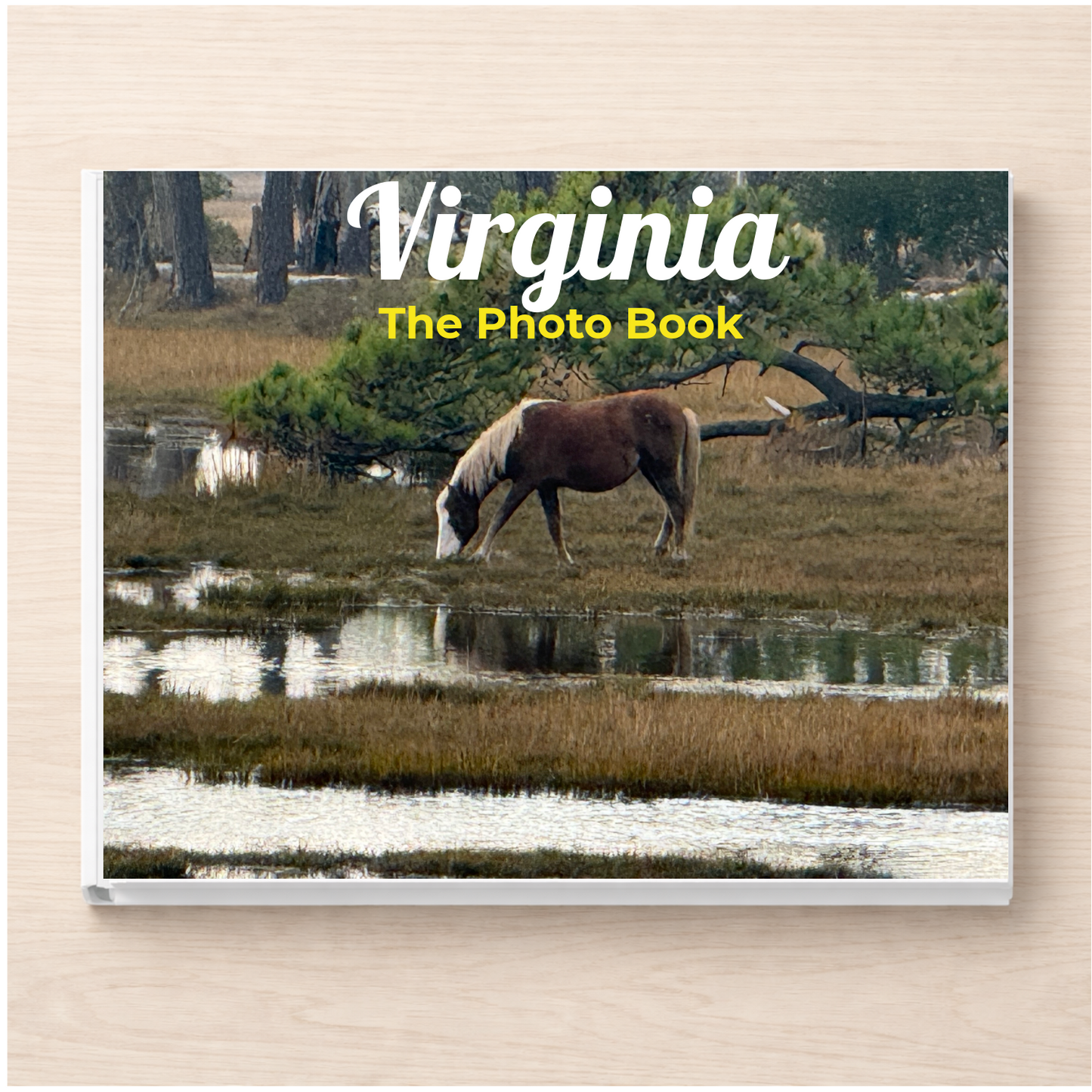 Virginia: The Photo Book