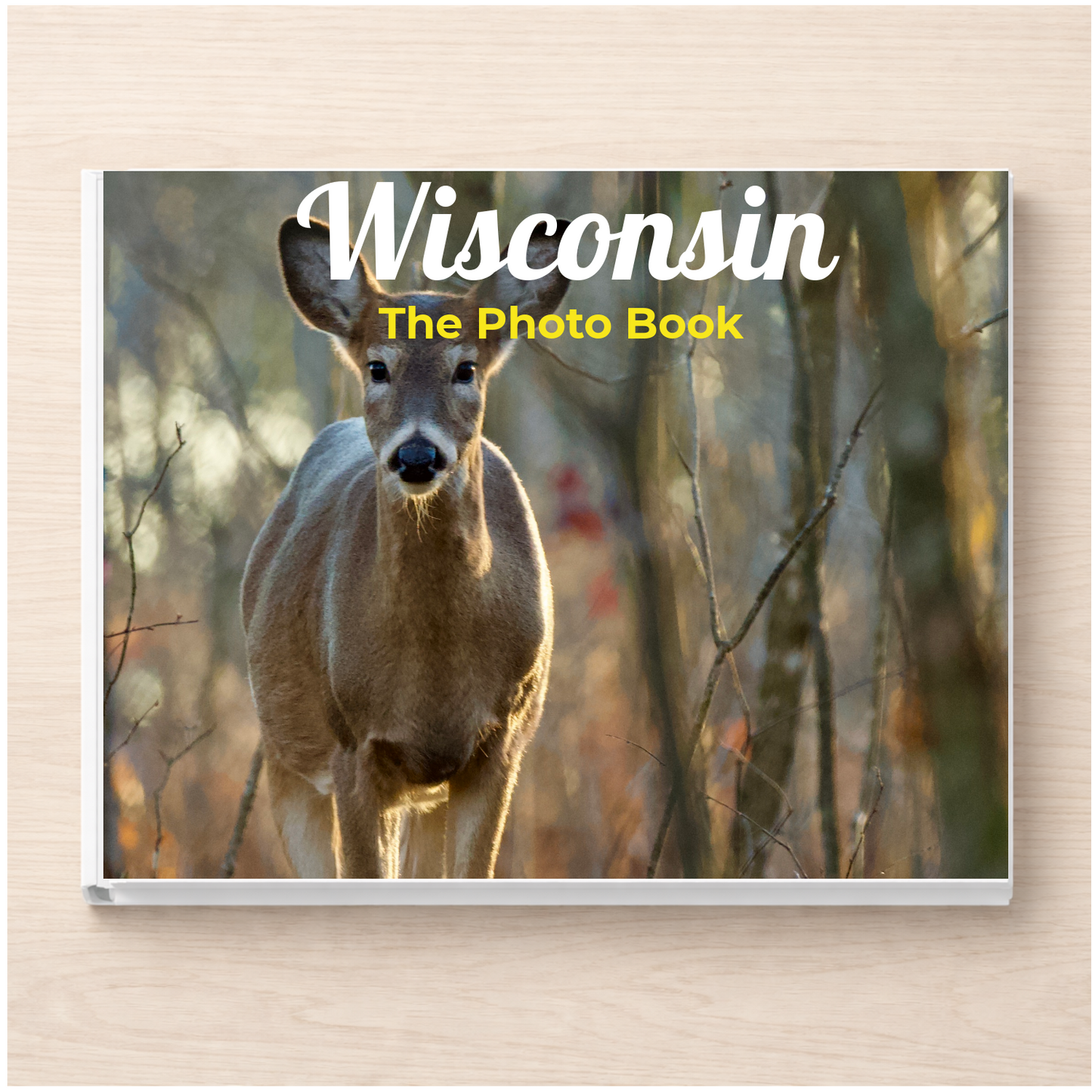 Wisconsin: The Photo Book