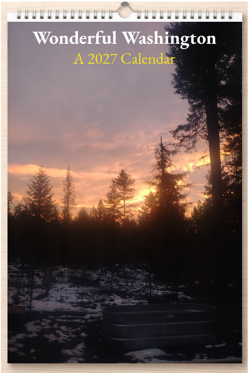 Wonderful Washington: A 2027 Calendar