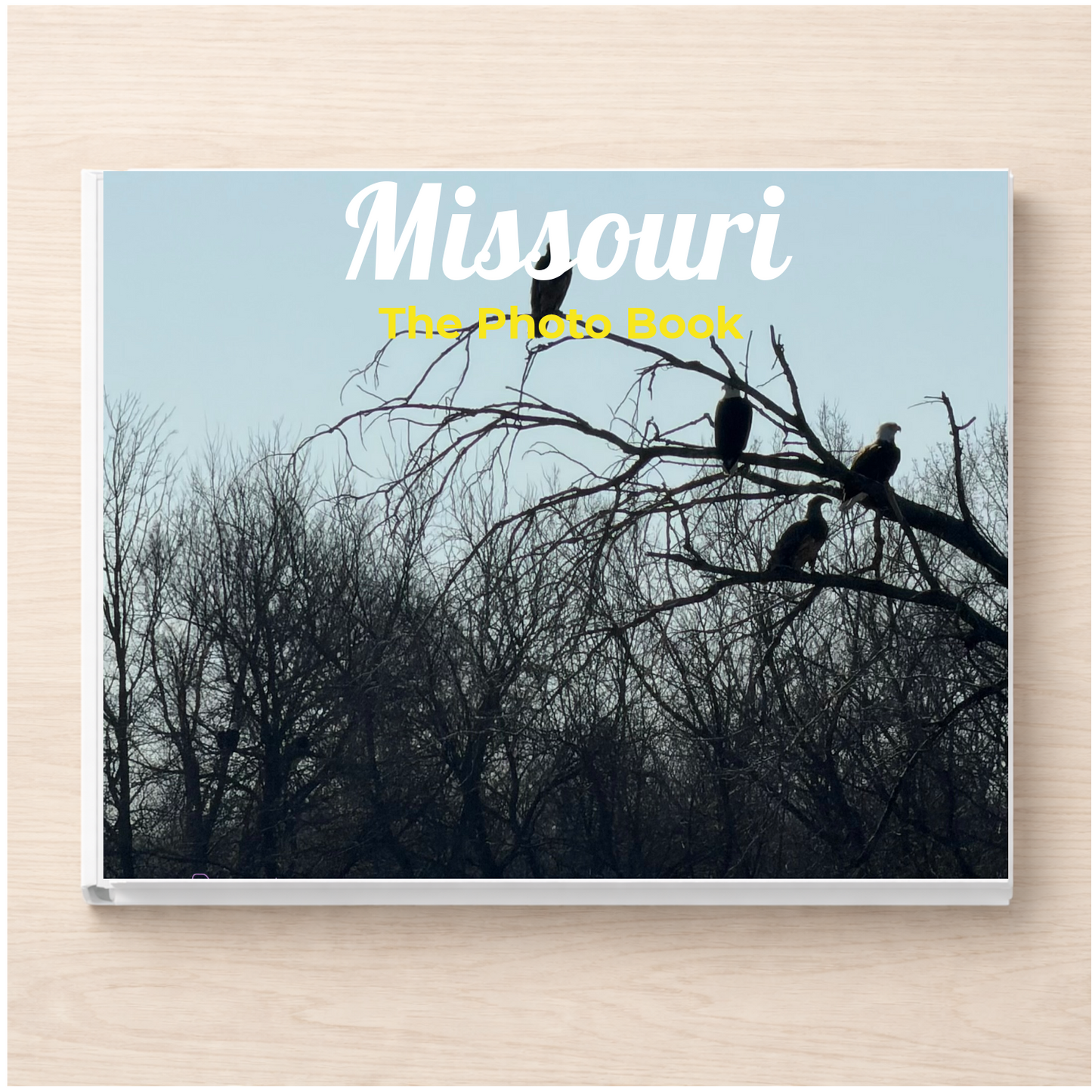 Missouri: The Photo Book