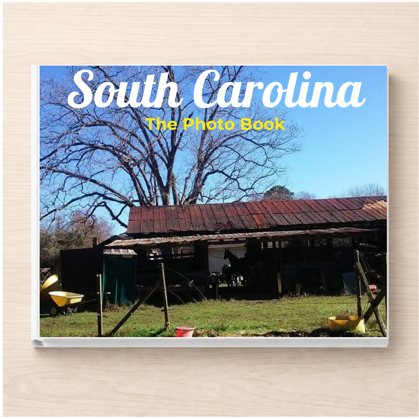 South Carolina: The Photo Book
