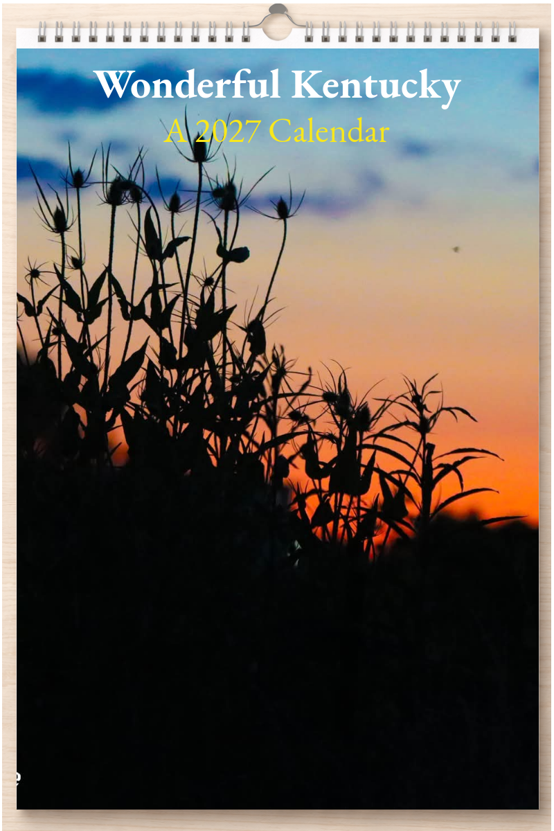 Wonderful Kentucky: A 2027 Calendar