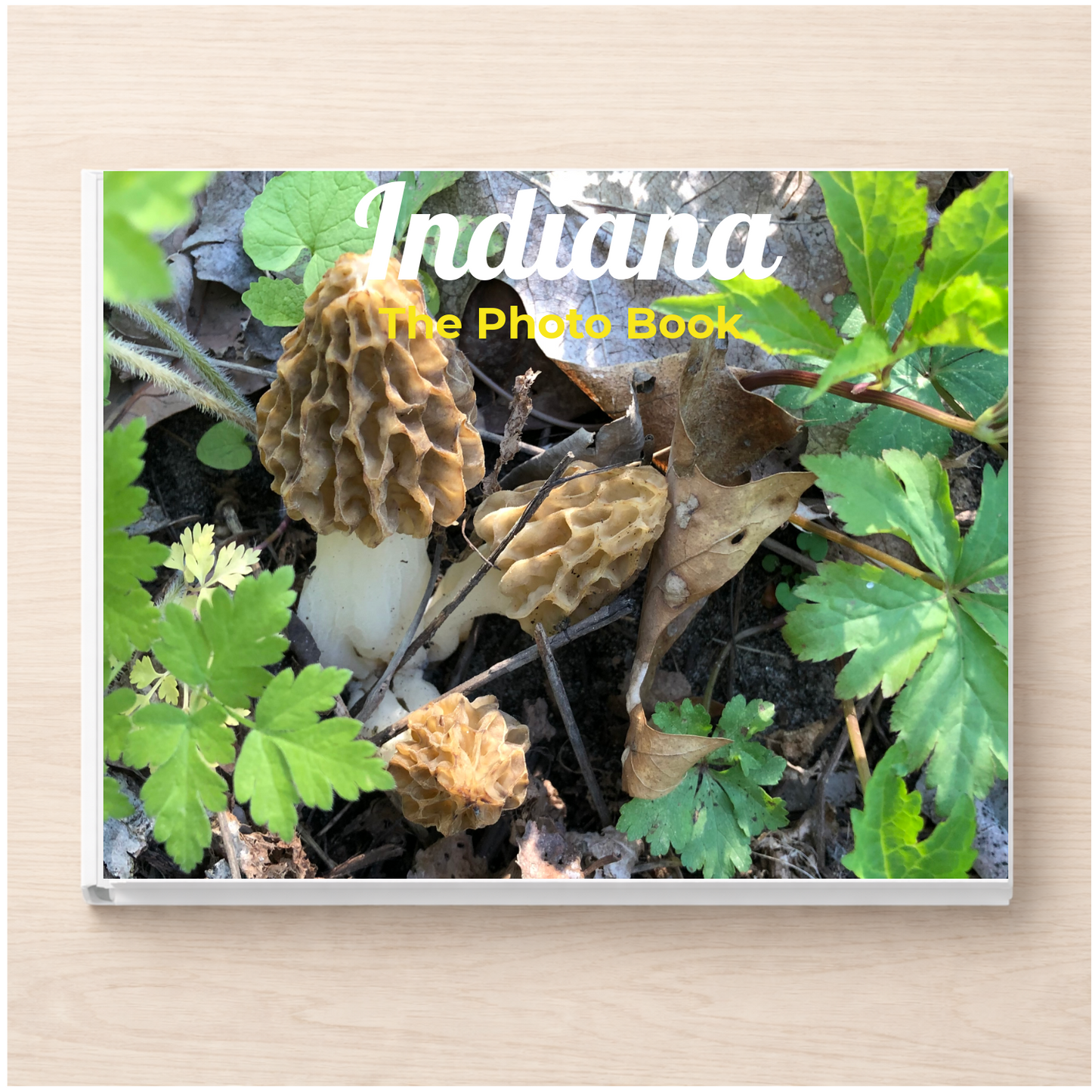 Indiana: The Photo Book