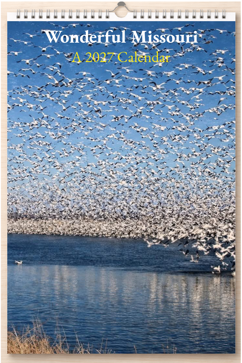 Wonderful Missouri: A 2027 Calendar