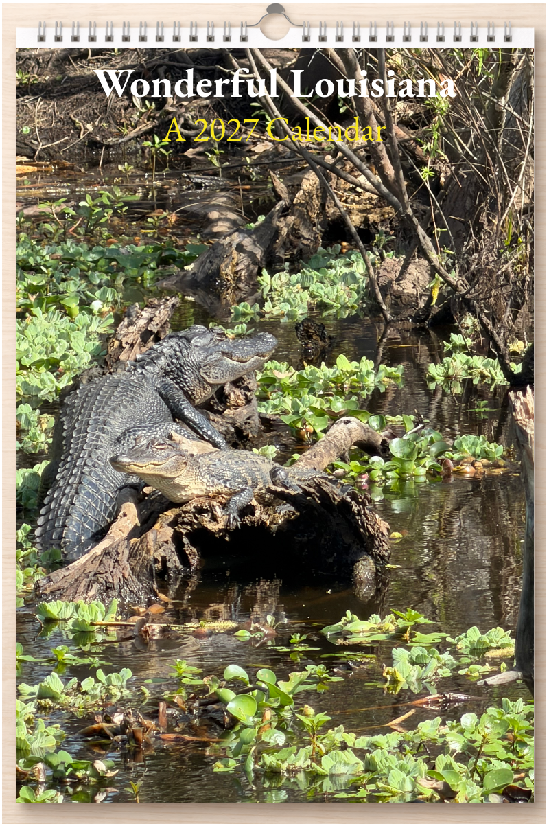 Wonderful Louisiana: A 2027 Calendar