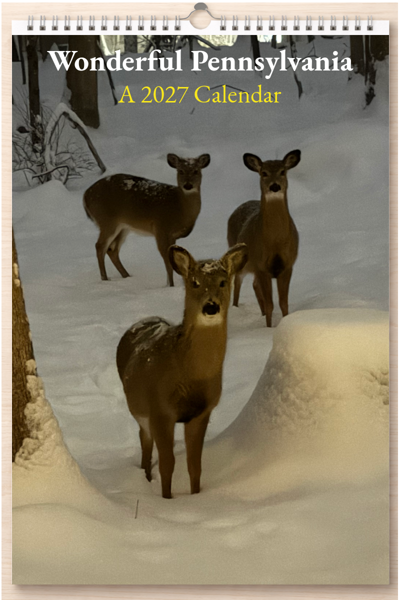 Wonderful Pennsylvania: A 2027 Calendar