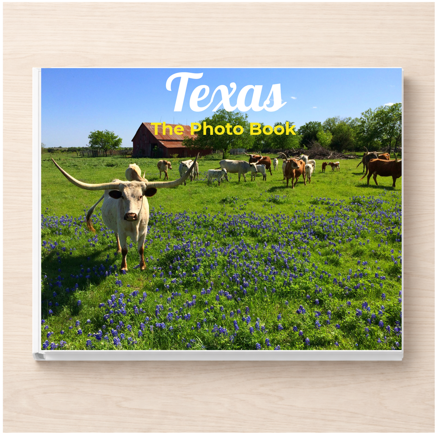 Texas: The Photo Book