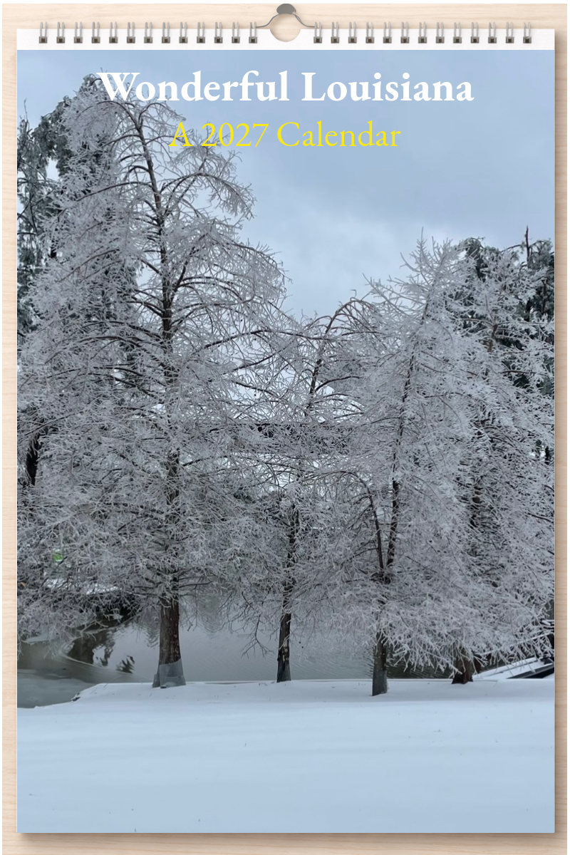 Wonderful Louisiana: A 2027 Calendar