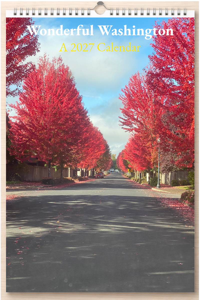 Wonderful Washington: A 2027 Calendar