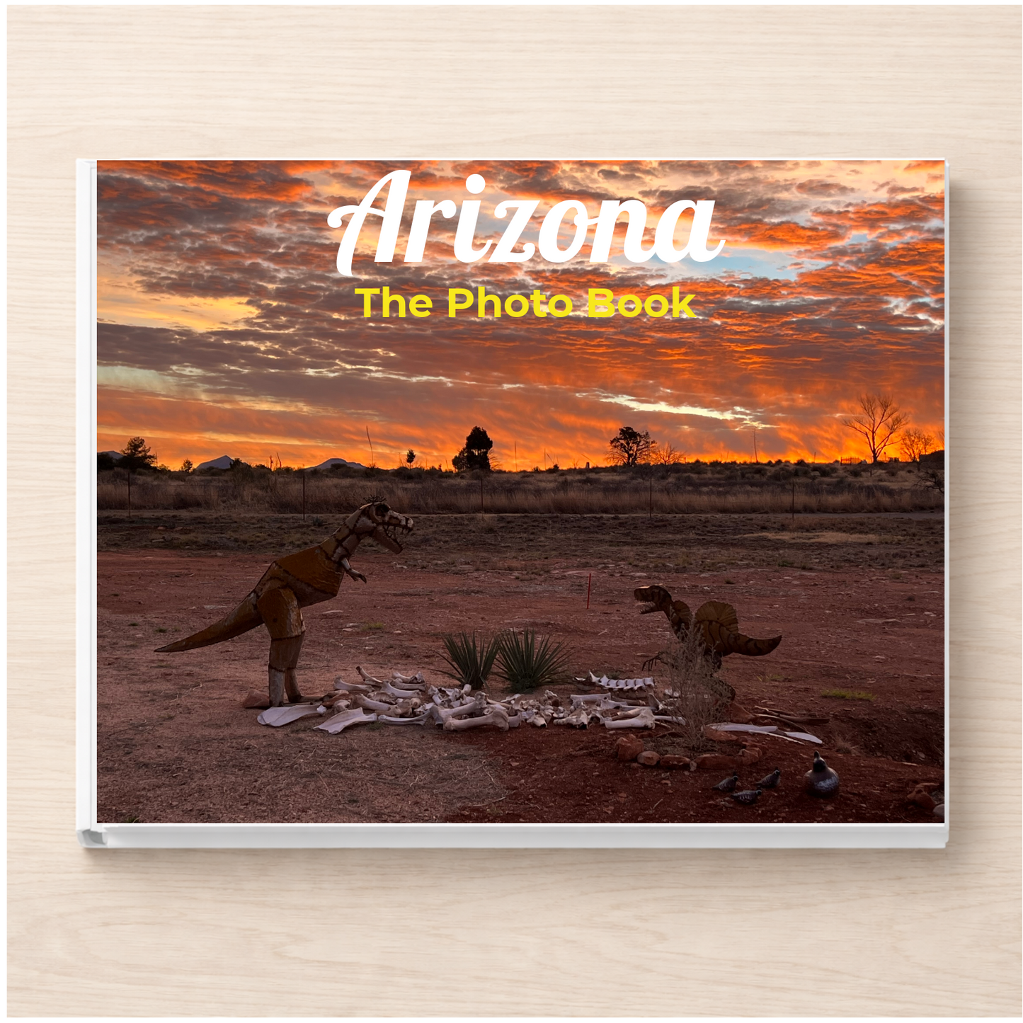 Arizona: The Photo Book