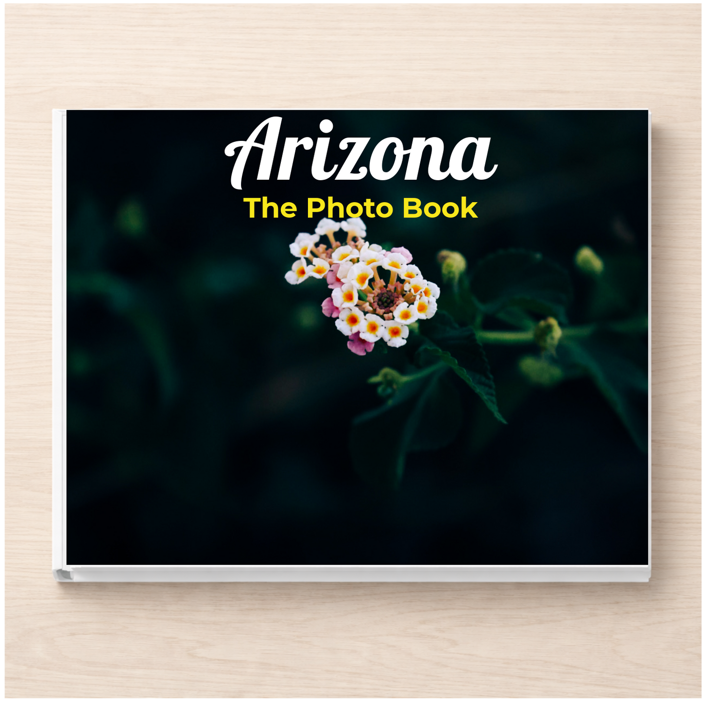 Arizona: The Photo Book