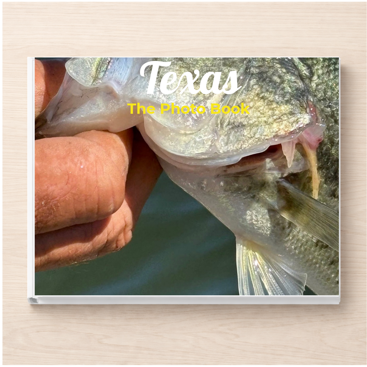 Texas: The Photo Book