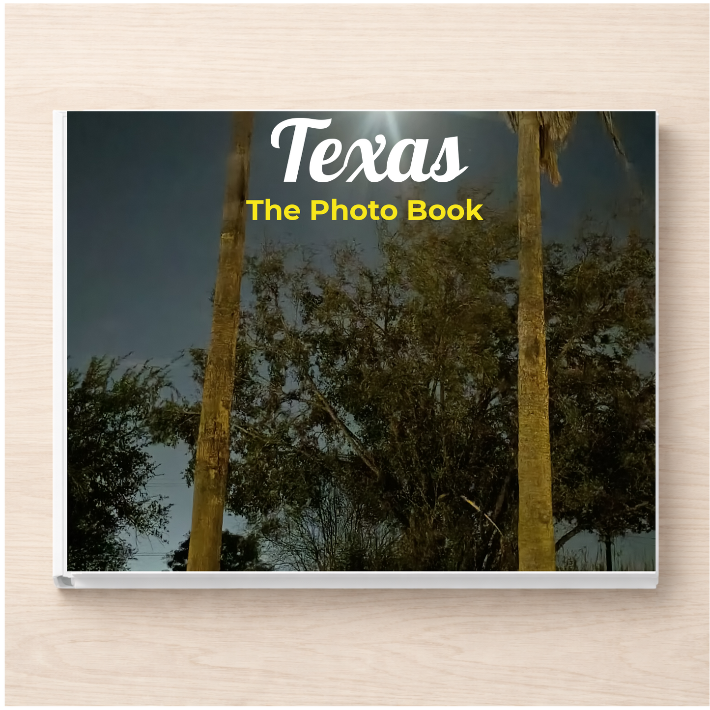 Texas: The Photo Book
