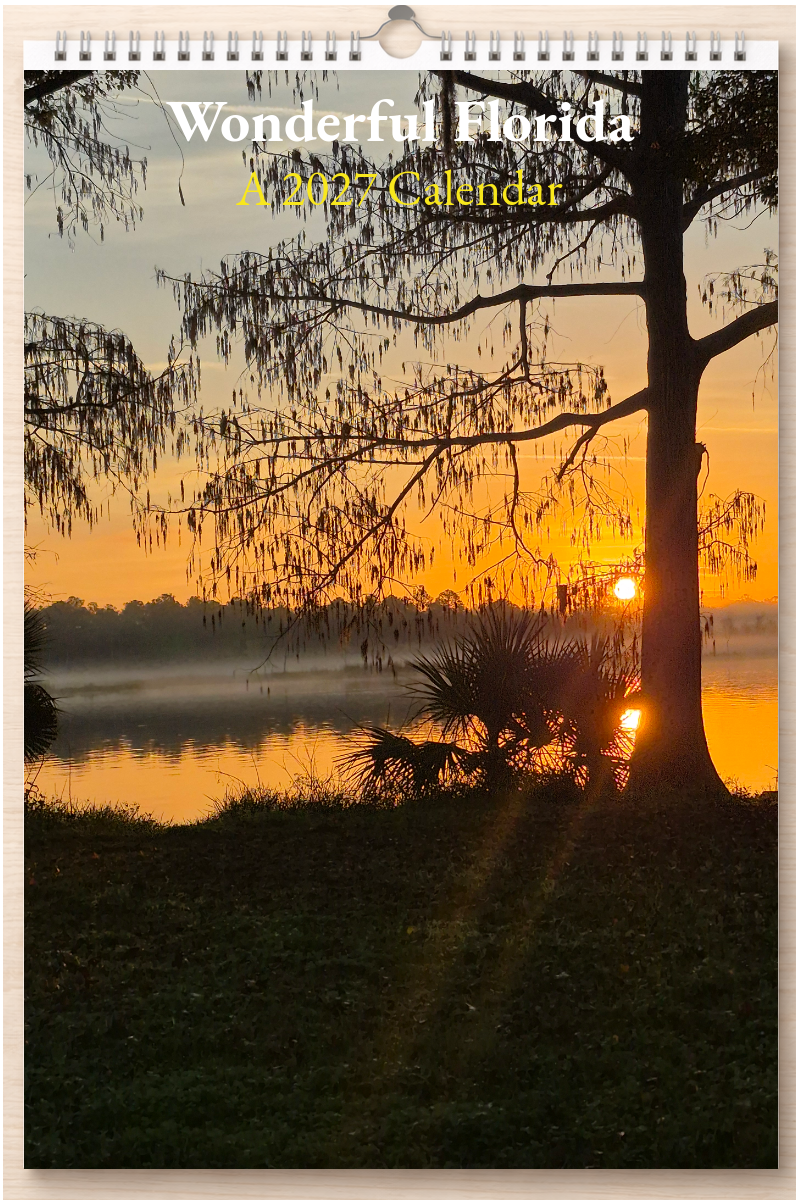 Wonderful Florida: A 2027 Calendar