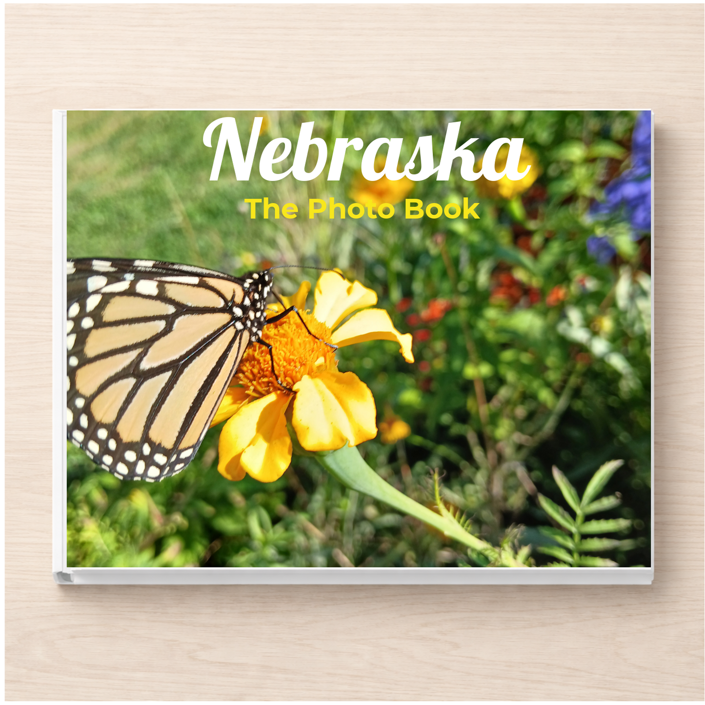 Nebraska: The Photo Book