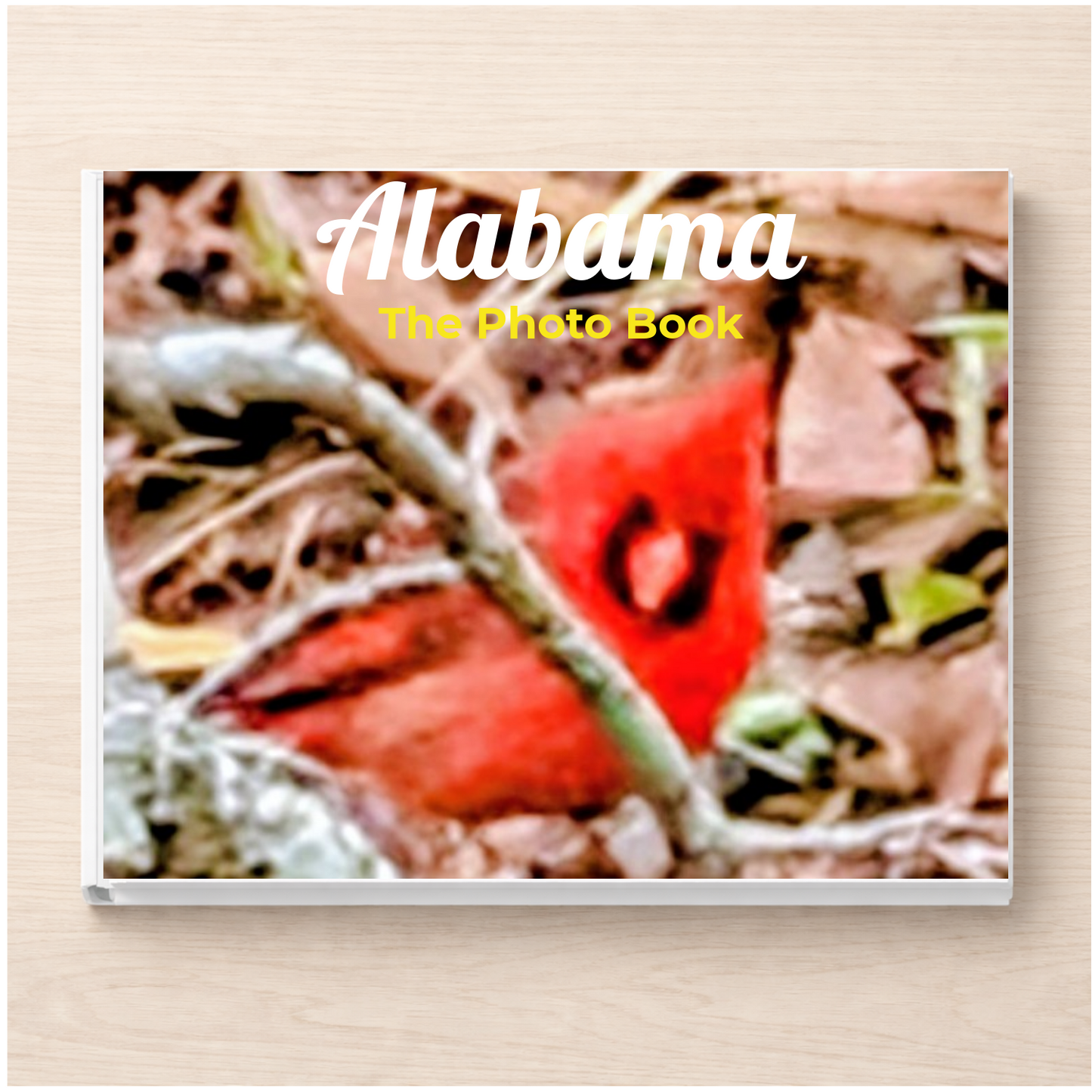 Alabama: The Photo Book