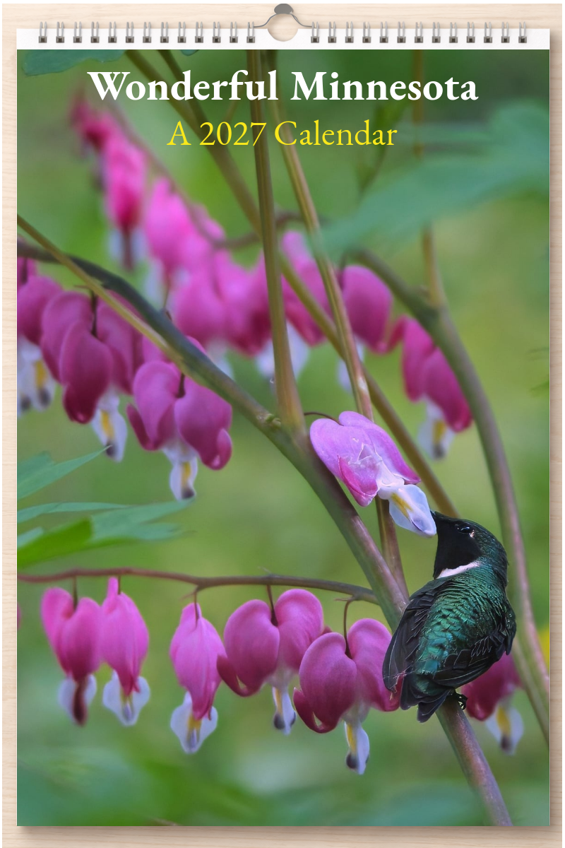 Wonderful Minnesota: A 2027 Calendar