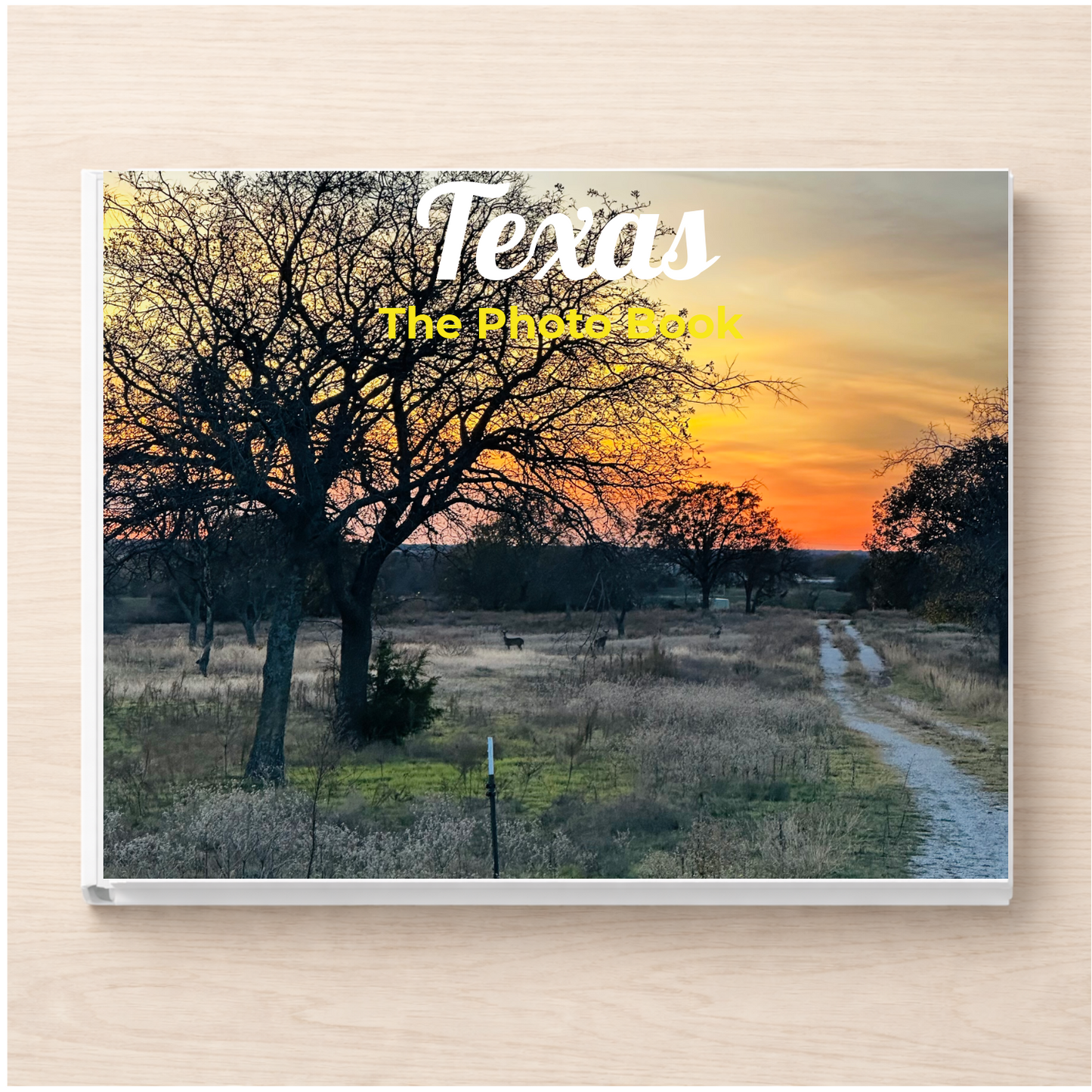 Texas: The Photo Book
