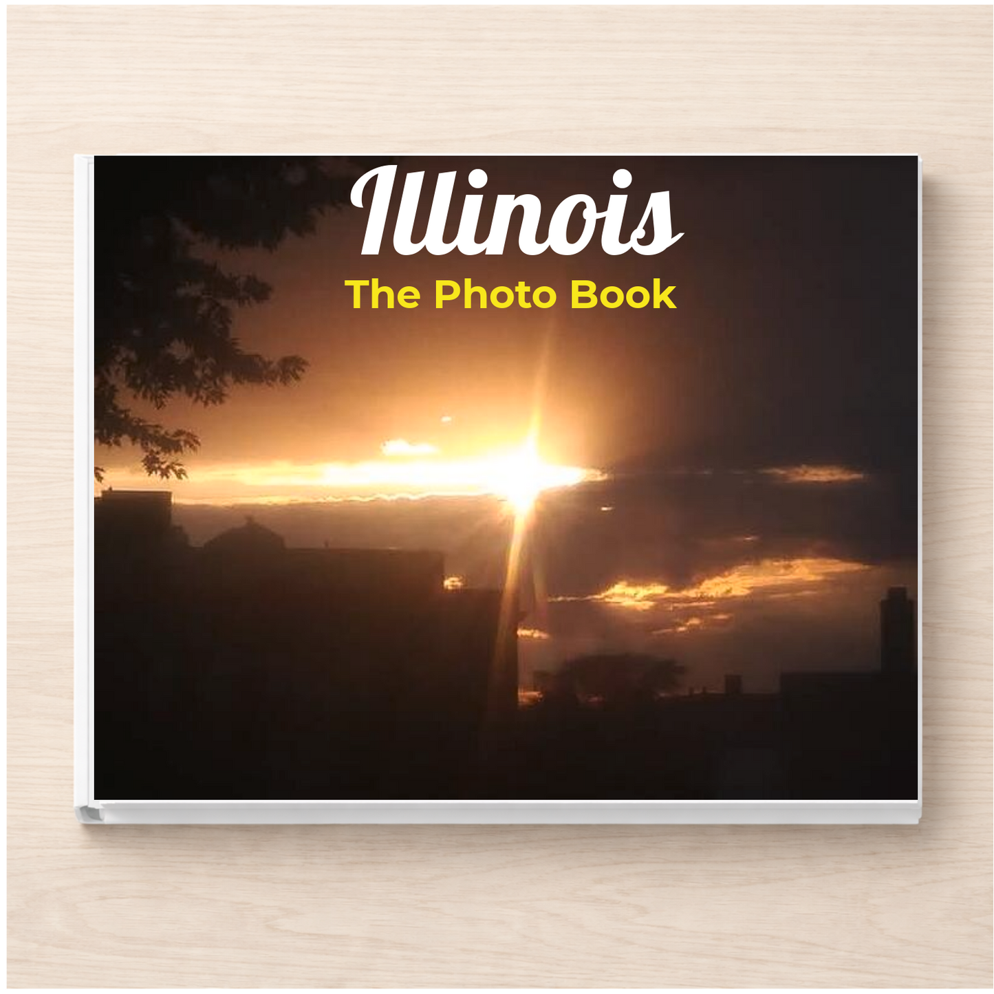 Illinois: The Photo Book