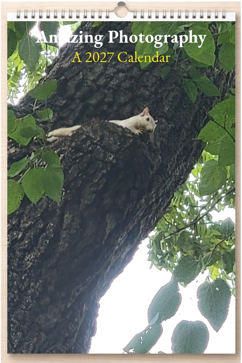 Amazing Photography: A 2027 Calendar