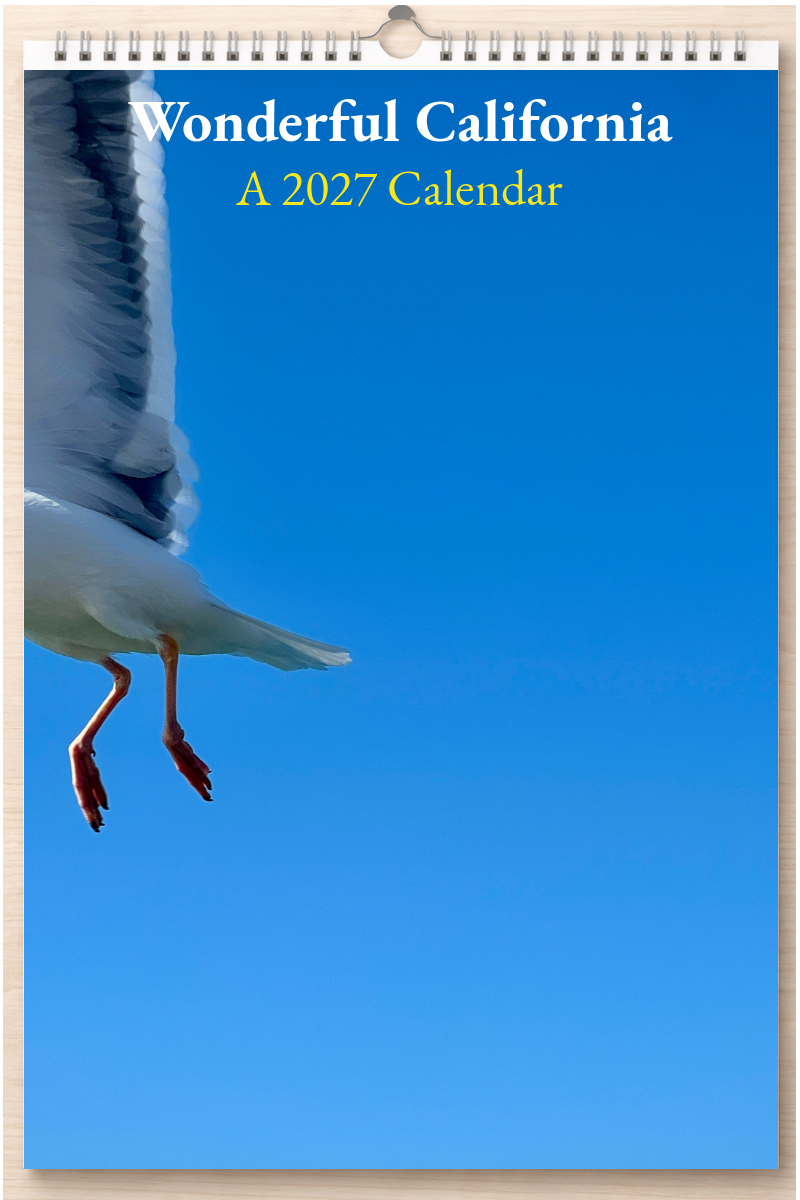 Wonderful California: A 2027 Calendar