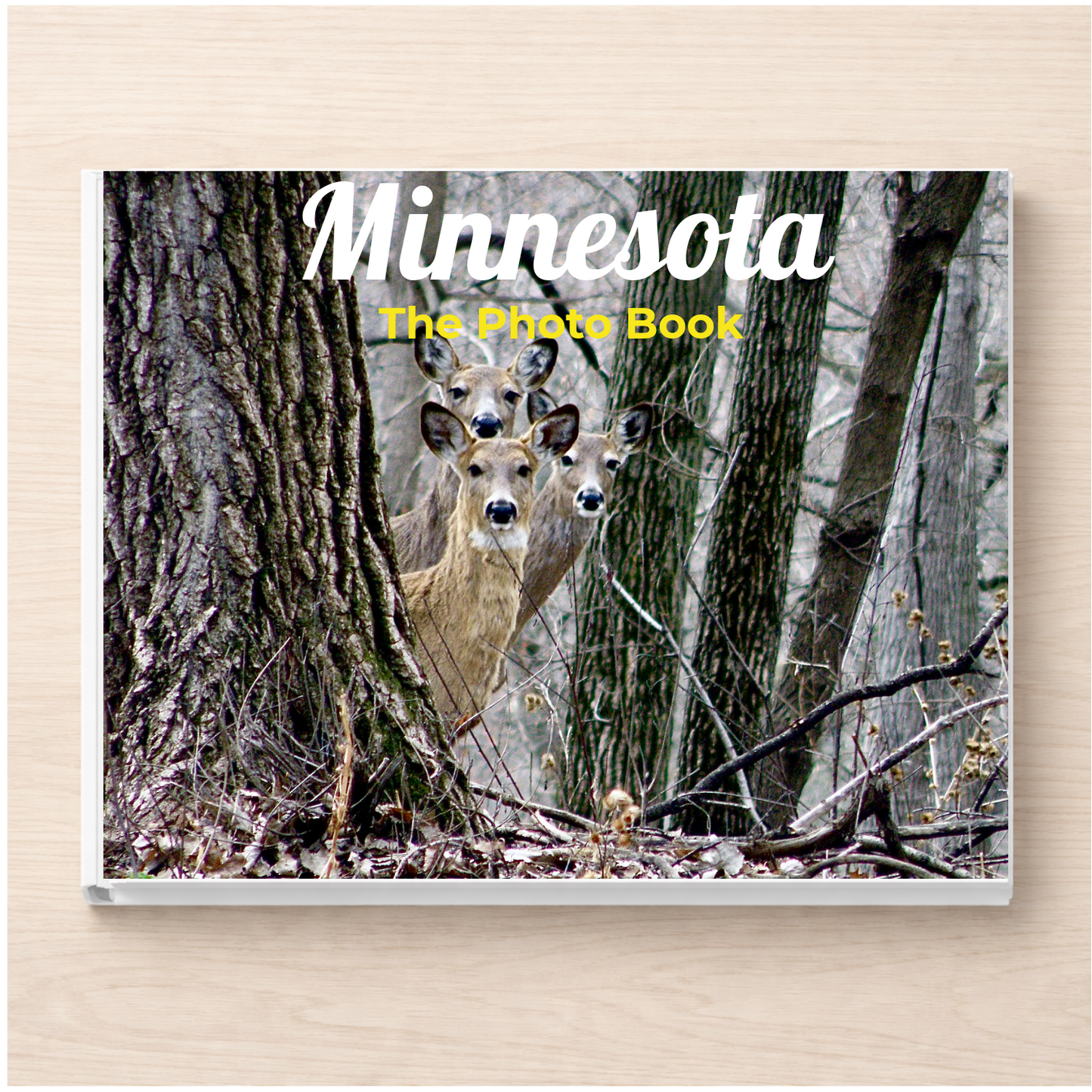 Minnesota: The Photo Book