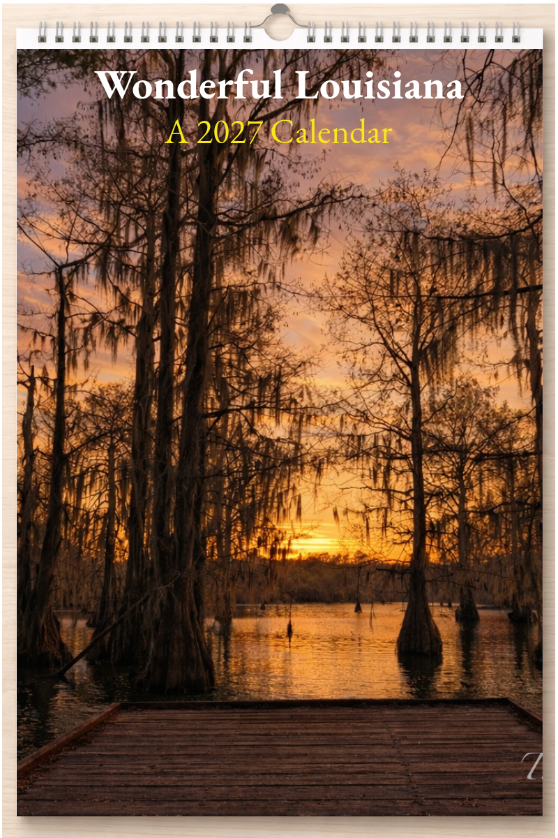 Wonderful Louisiana: A 2027 Calendar