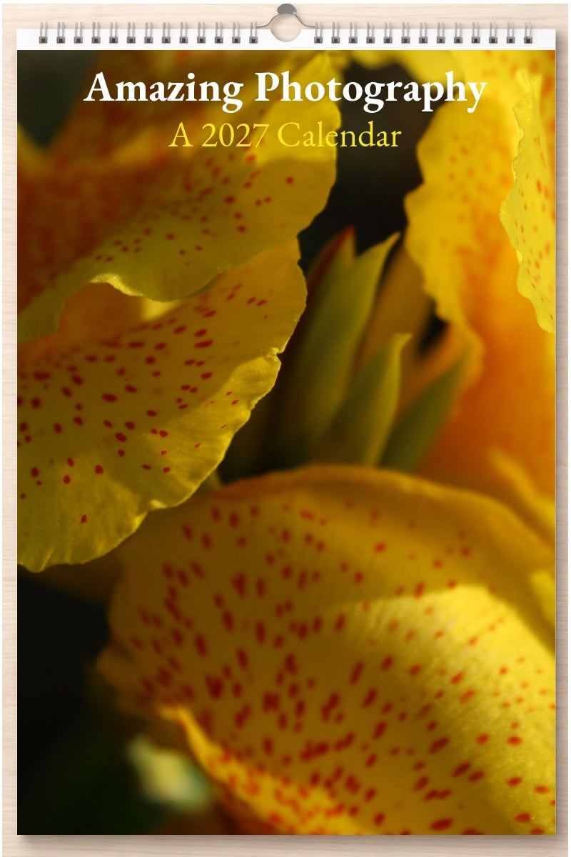 Amazing Photography: A 2027 Calendar