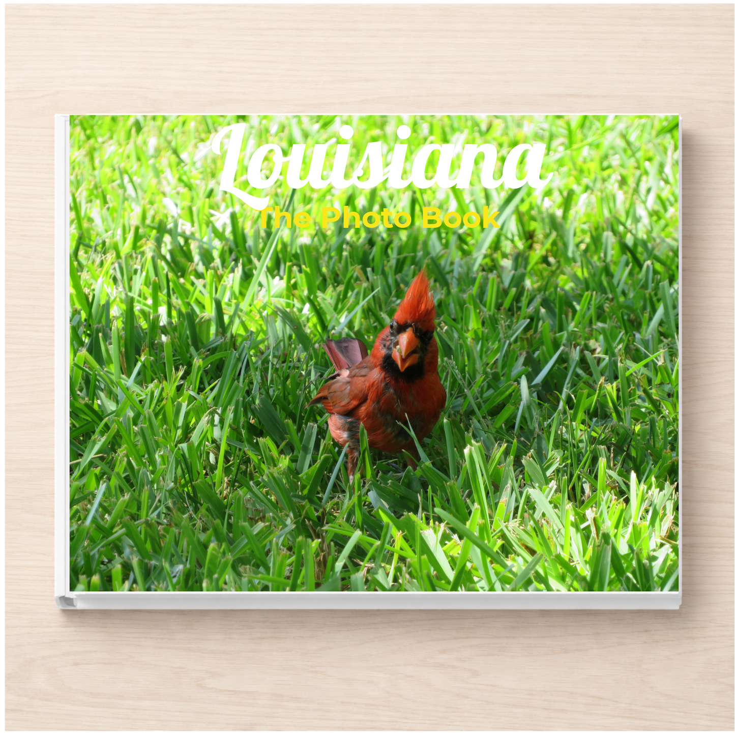 Louisiana: The Photo Book