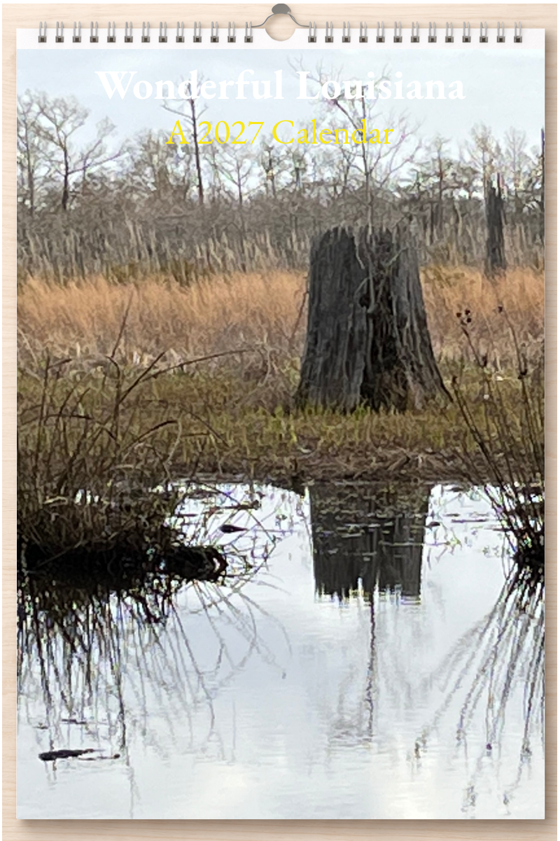 Wonderful Louisiana: A 2027 Calendar