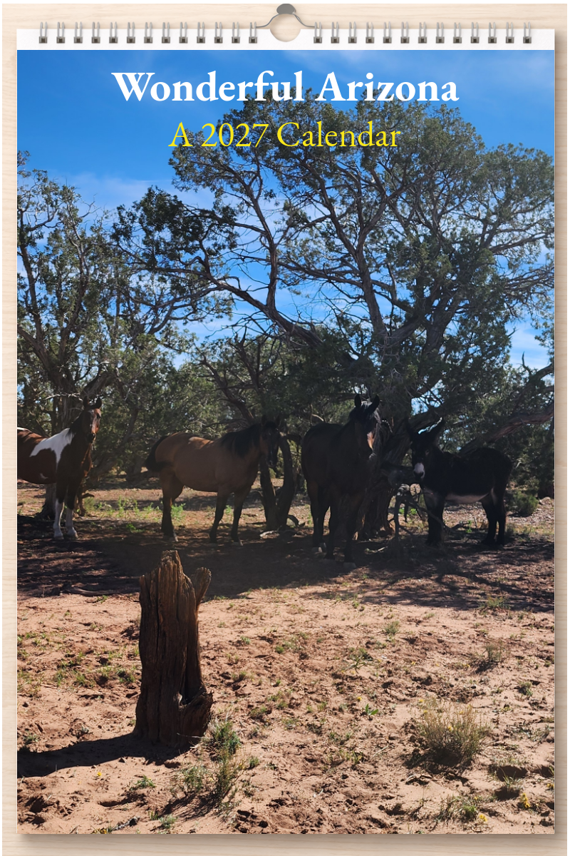 Wonderful Arizona: A 2027 Calendar