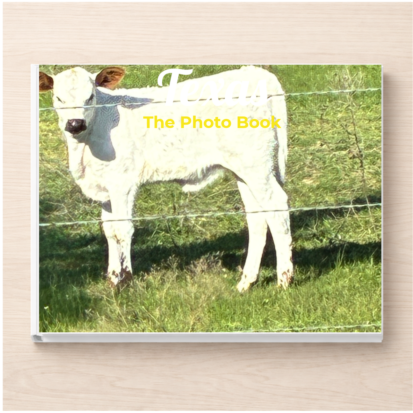 Texas: The Photo Book