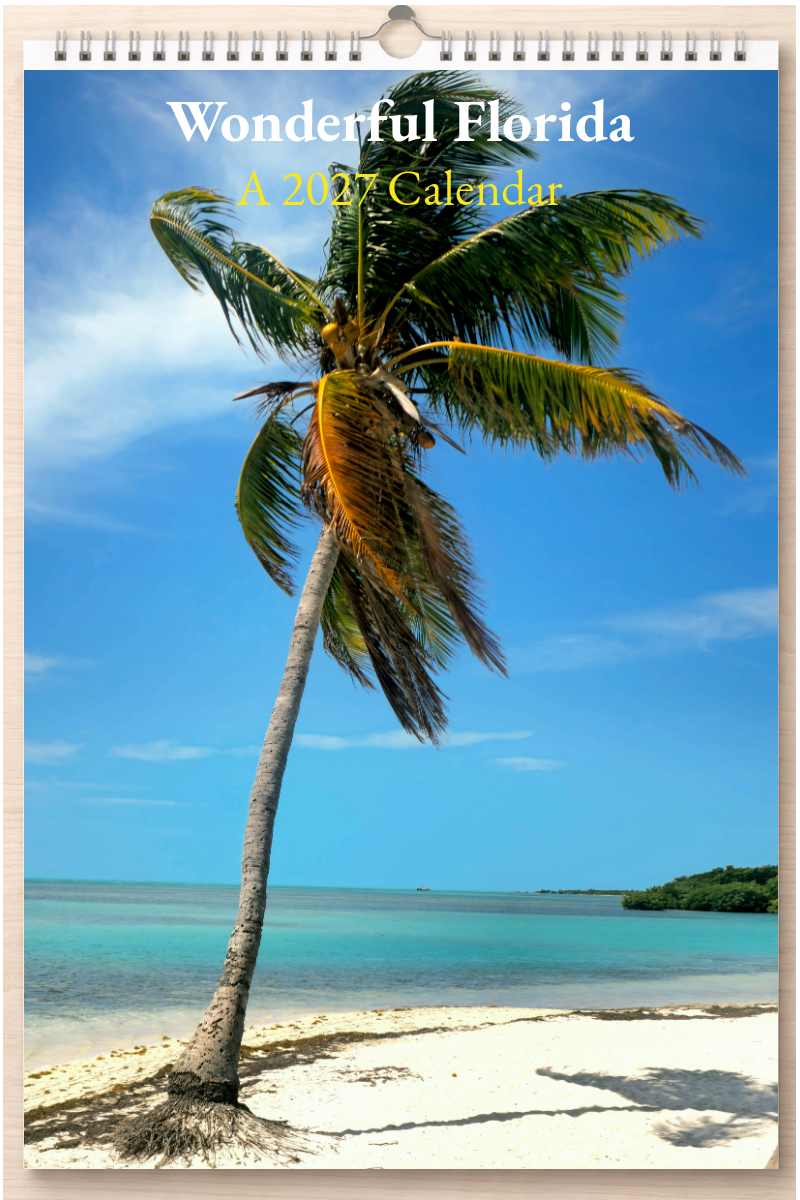 Wonderful Florida: A 2027 Calendar