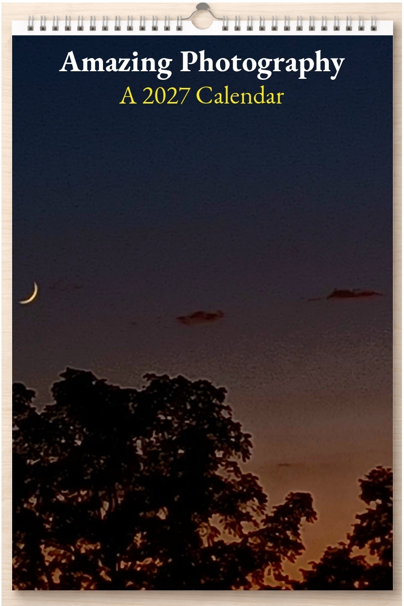 Amazing Photography: A 2027 Calendar