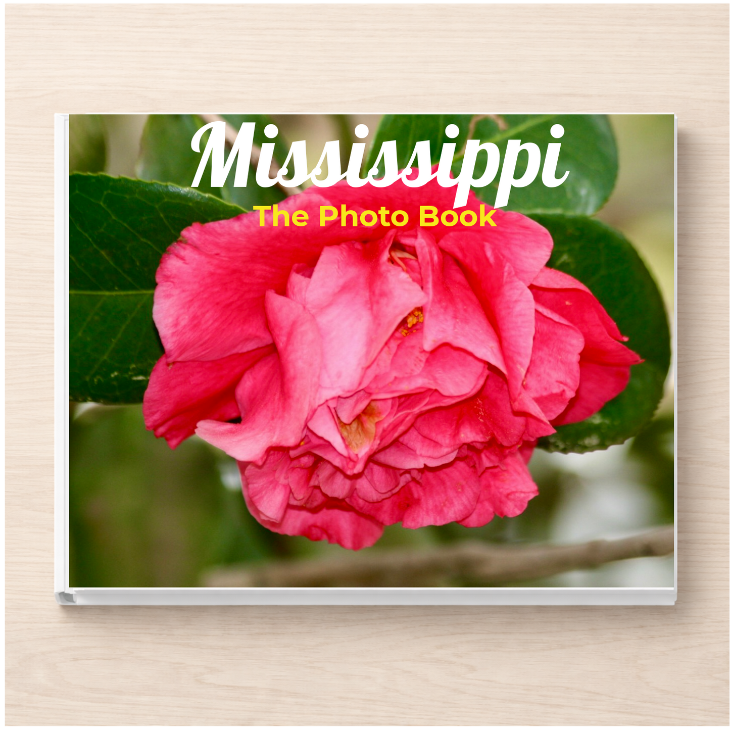 Mississippi: The Photo Book