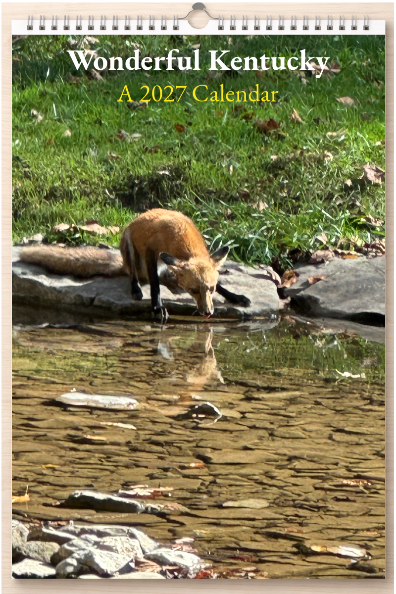 Wonderful Kentucky: A 2027 Calendar