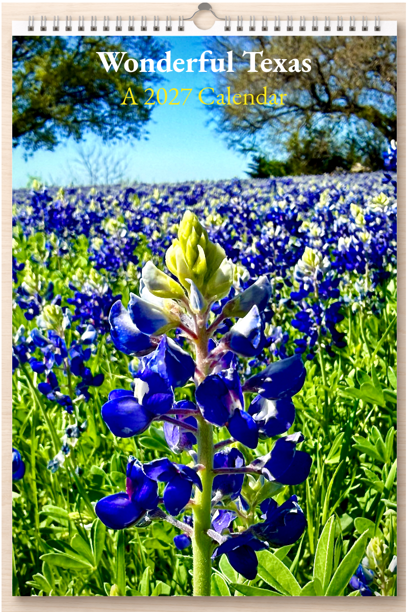 Wonderful Texas: A 2027 Calendar