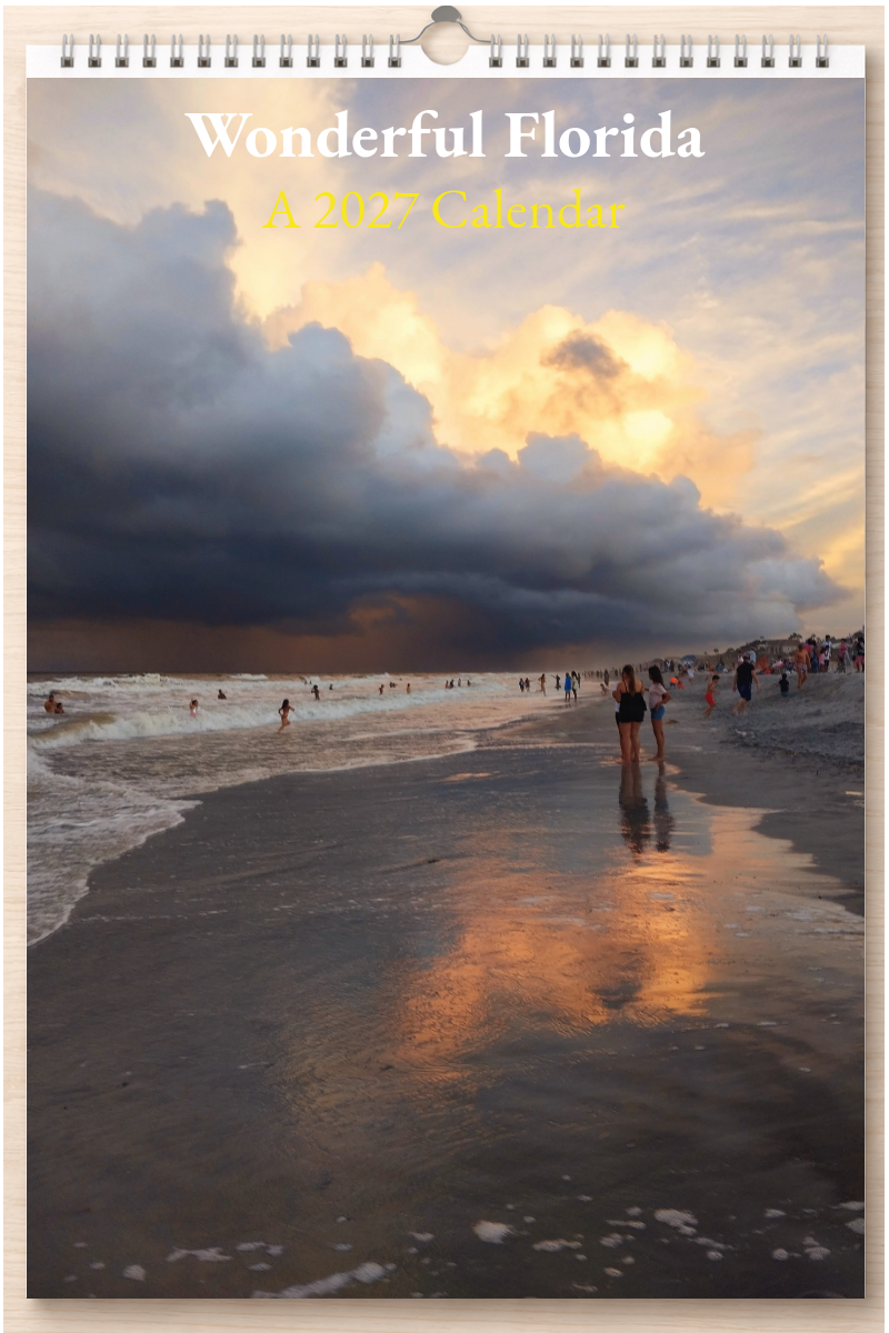 Wonderful Florida: A 2027 Calendar