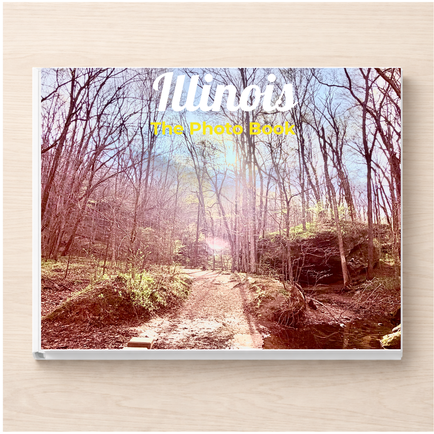Illinois: The Photo Book