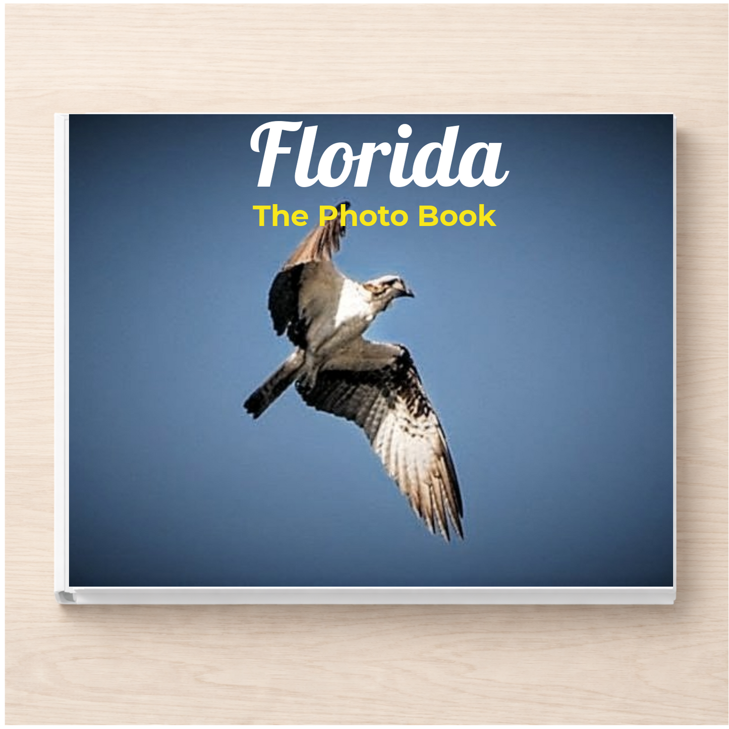 Florida: The Photo Book