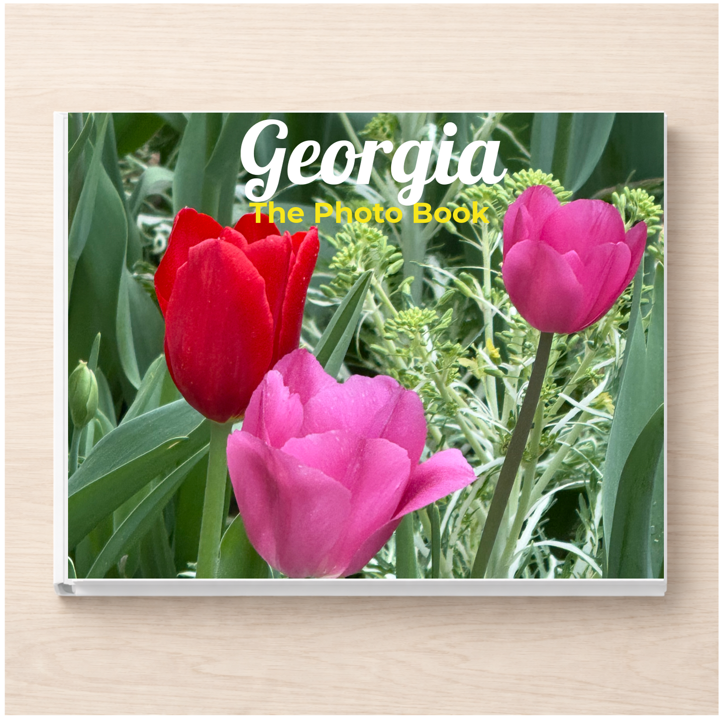 Georgia: The Photo Book