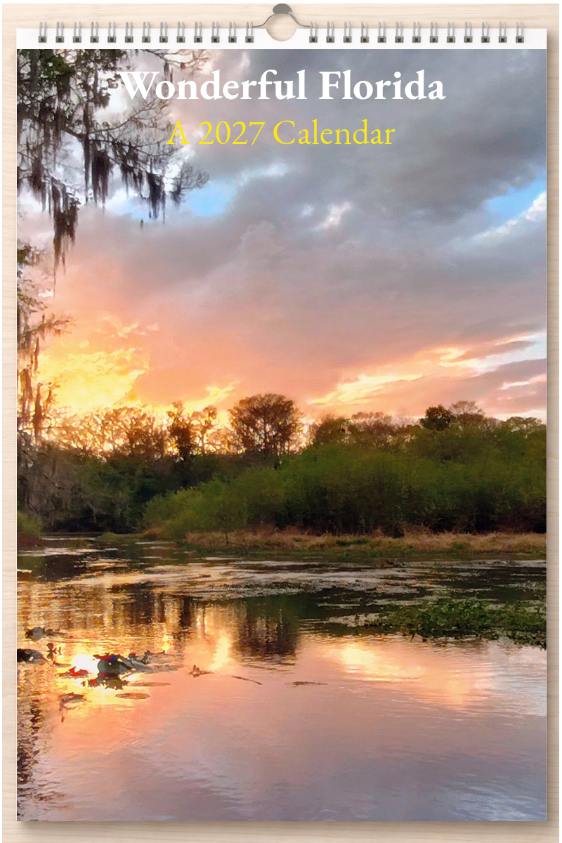 Wonderful Florida: A 2027 Calendar