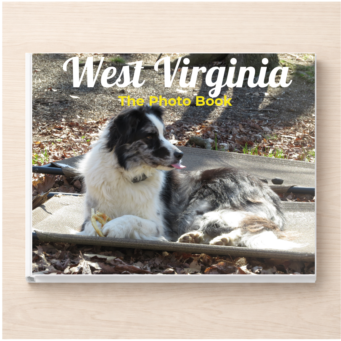 West Virginia: The Photo Book
