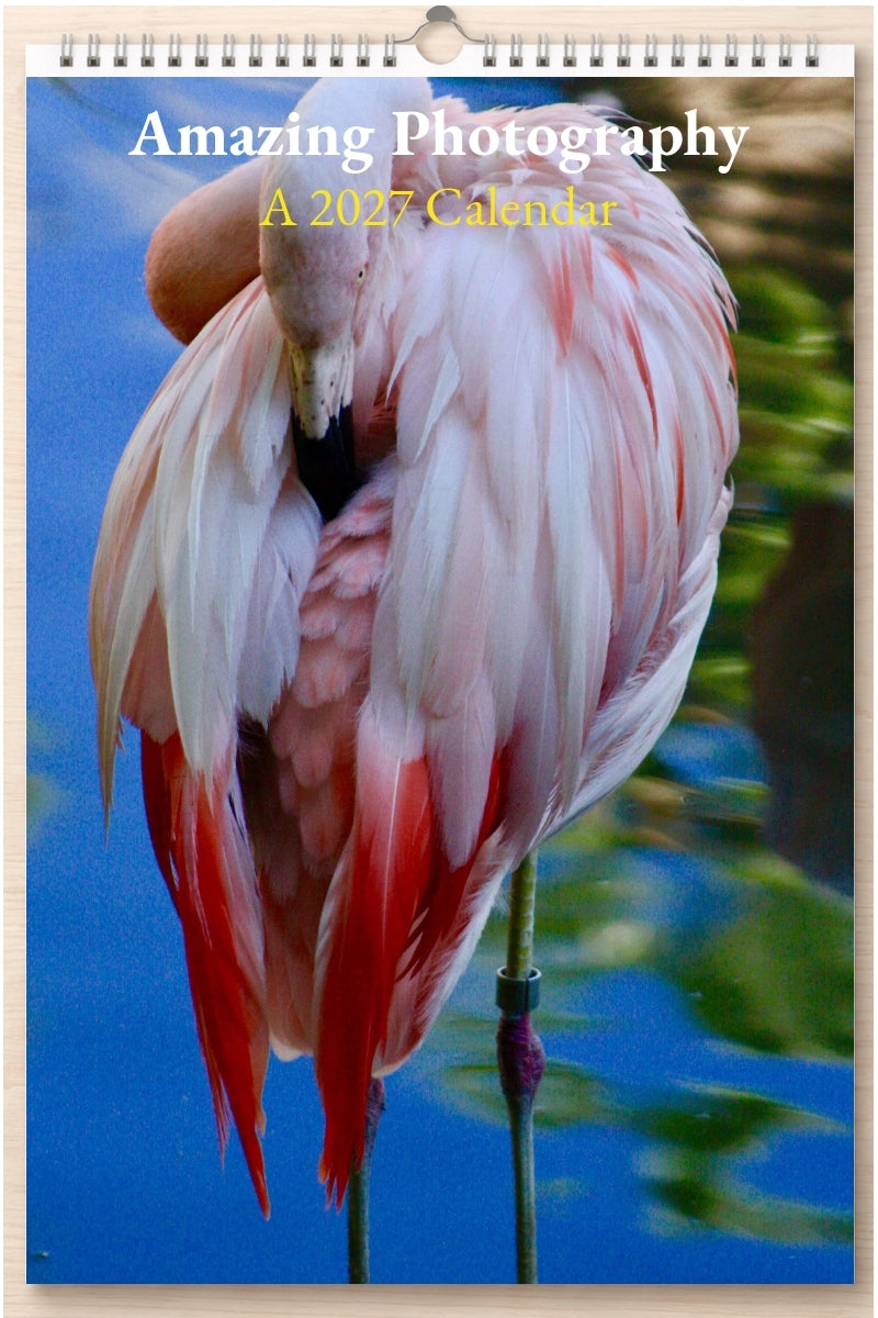 Amazing Photography: A 2027 Calendar