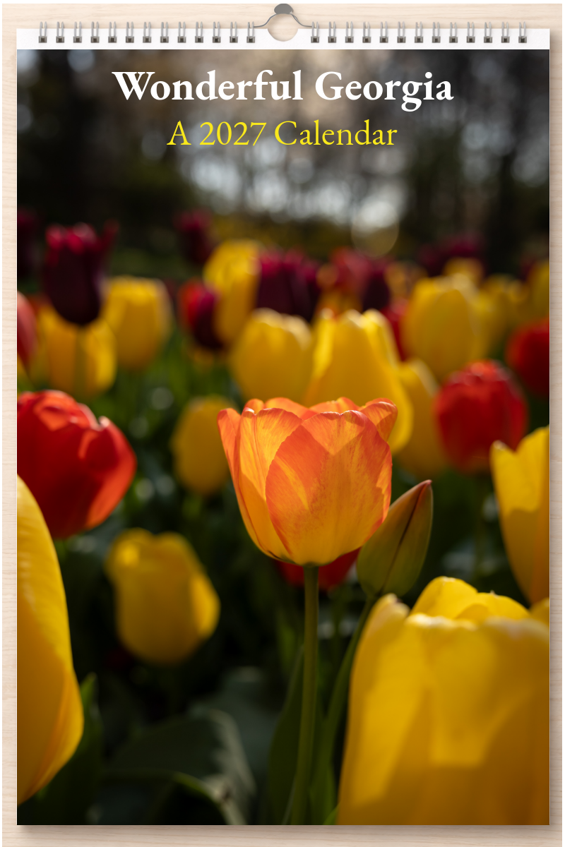 Wonderful Georgia: A 2027 Calendar