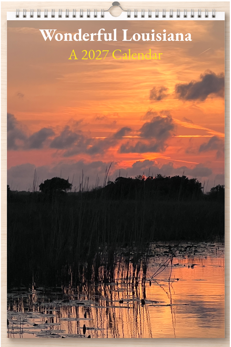 Wonderful Louisiana: A 2027 Calendar
